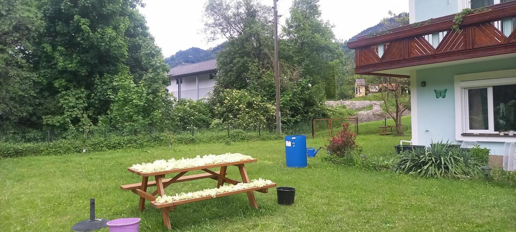 Apartmán Alie Gusta Hermagor-Pressegger See Exteriér fotografie